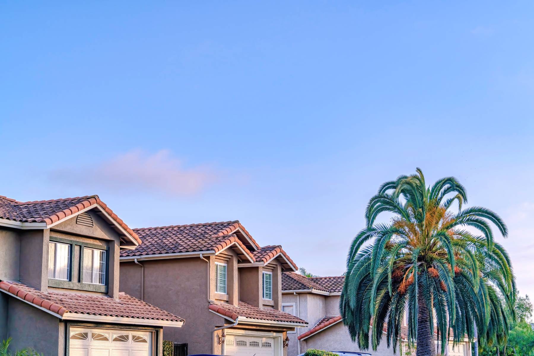 wind mitigation inspection